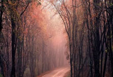 莱比锡逆转战局，晋级欧冠半决赛