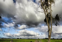 莱比锡逆转战局，晋级欧冠半决赛