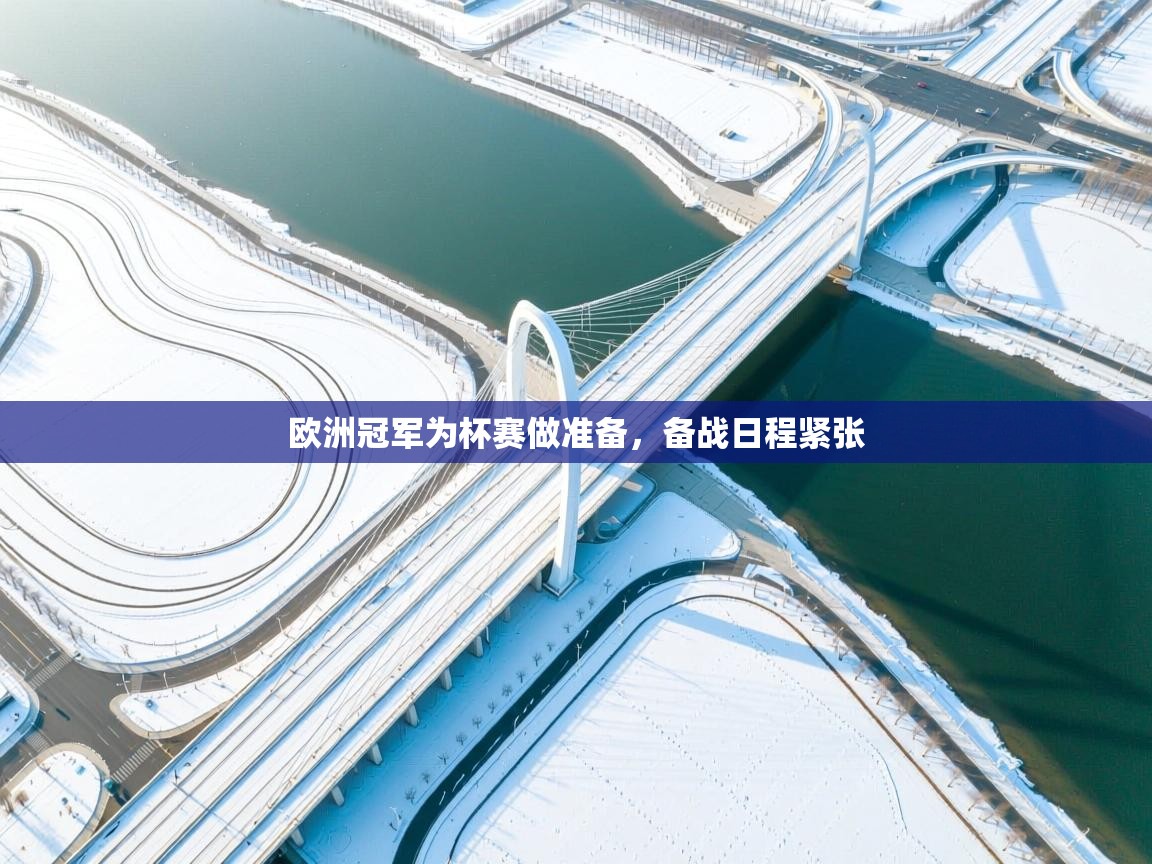 欧洲冠军为杯赛做准备，备战日程紧张  第2张